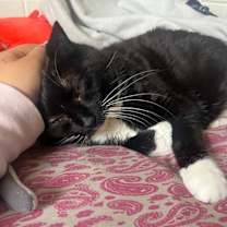 Thumbnail photo of Treasure #4