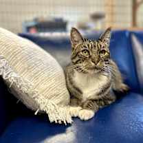 Thumbnail photo of Jackson #3