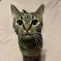 Thumbnail photo of June #2