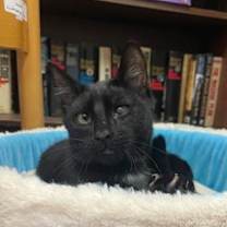 Thumbnail photo of Theo #1