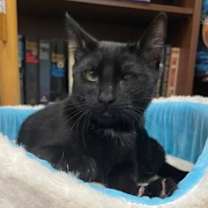 Thumbnail photo of Theo #2