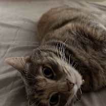 Thumbnail photo of Tara #2