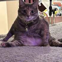 Thumbnail photo of Tara #3