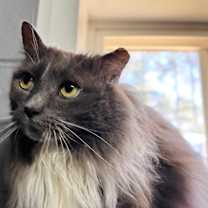 Thumbnail photo of Maddie #3