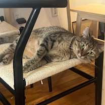 Thumbnail photo of Wilma #2