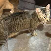 Thumbnail photo of Sam #3