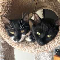 Thumbnail photo of Squirt #1