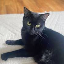 Thumbnail photo of Squirt #2