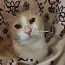 Thumbnail photo of Todd #1