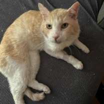 Thumbnail photo of Todd #3