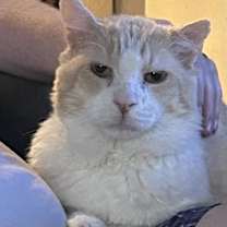 Thumbnail photo of Todd #4