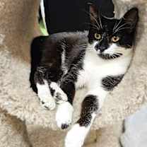 Thumbnail photo of Bubbles #1