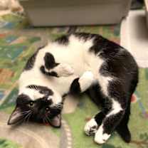 Thumbnail photo of Bubbles #2