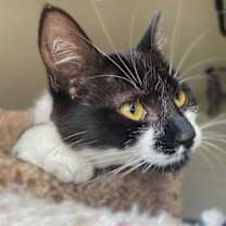 Thumbnail photo of Bubbles #3