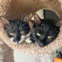 Thumbnail photo of Bubbles #4