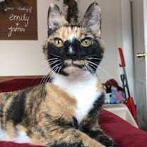 Thumbnail photo of Kallie #1