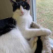 Thumbnail photo of Doodad #2