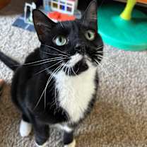Thumbnail photo of Willy #1