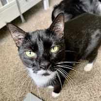 Thumbnail photo of Willy #3