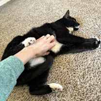Thumbnail photo of Willy #4