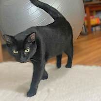 Thumbnail photo of Squirt #3