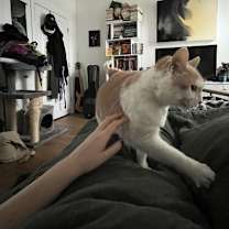Thumbnail photo of Chatty Chap #3