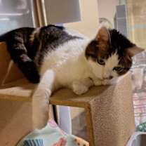 Thumbnail photo of Holly #1