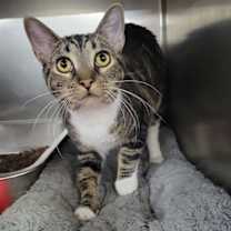 Thumbnail photo of Joss #4