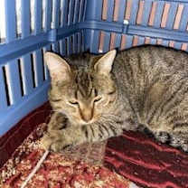 Thumbnail photo of Vance #2