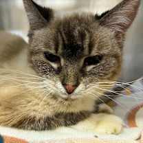 Thumbnail photo of Crissy  #2