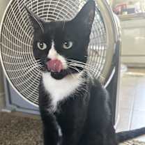 Thumbnail photo of Grace #3