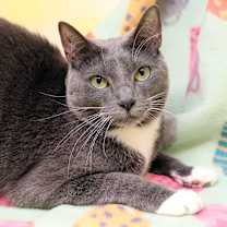 Thumbnail photo of Ophelia #1