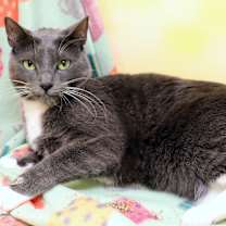 Thumbnail photo of Ophelia #3