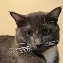 Thumbnail photo of Charlie #3