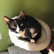 Thumbnail photo of Bates #1