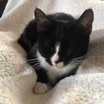 Thumbnail photo of Bates #2