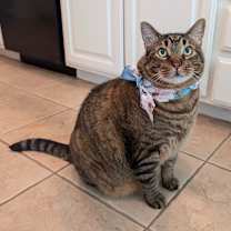 Thumbnail photo of Bobbins #2