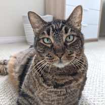 Thumbnail photo of Bobbins #4