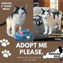 Thumbnail photo of Jordan #2