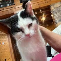 Thumbnail photo of Jordan #3