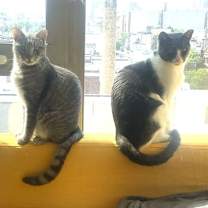 Thumbnail photo of Big Boy and Mr. Man #2