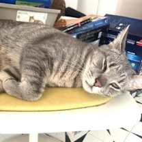 Thumbnail photo of Big Boy and Mr. Man #3