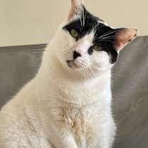 Thumbnail photo of Bruce #4