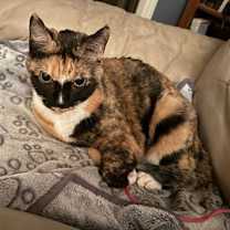 Thumbnail photo of Kallie #4