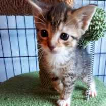 Thumbnail photo of Olivia #2