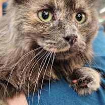 Thumbnail photo of Melodie #1