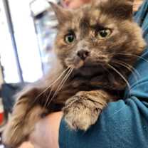 Thumbnail photo of Melodie #3
