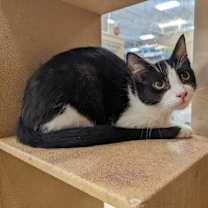 Thumbnail photo of Skittles #2