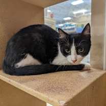 Thumbnail photo of Skittles #3