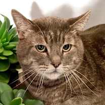 Thumbnail photo of Albert #3